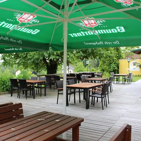 Hotel Baumgartner-berghof