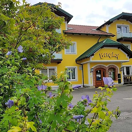 Hotel Pension Baumgartner-Berghof 3*