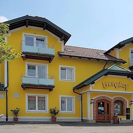 Hotel Pension Baumgartner-Berghof 3*