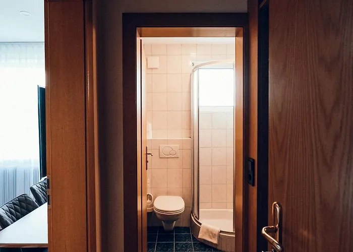 Baumgartner-berghof 호텔